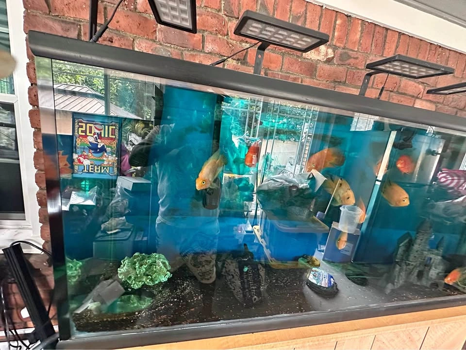 Fish tank 150 gal