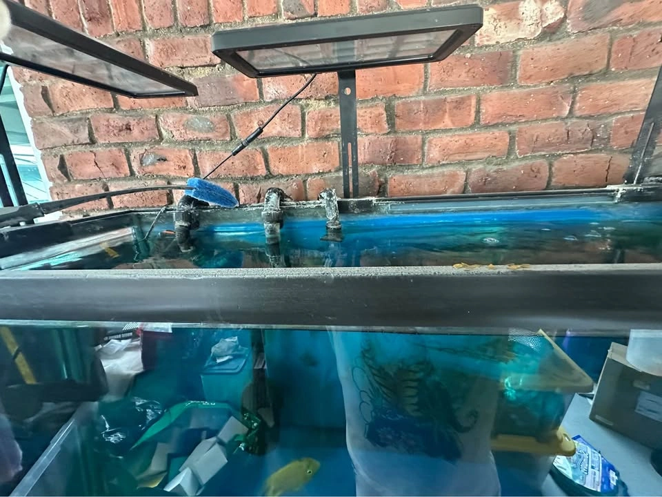 Fish tank 150 gal - photo 2