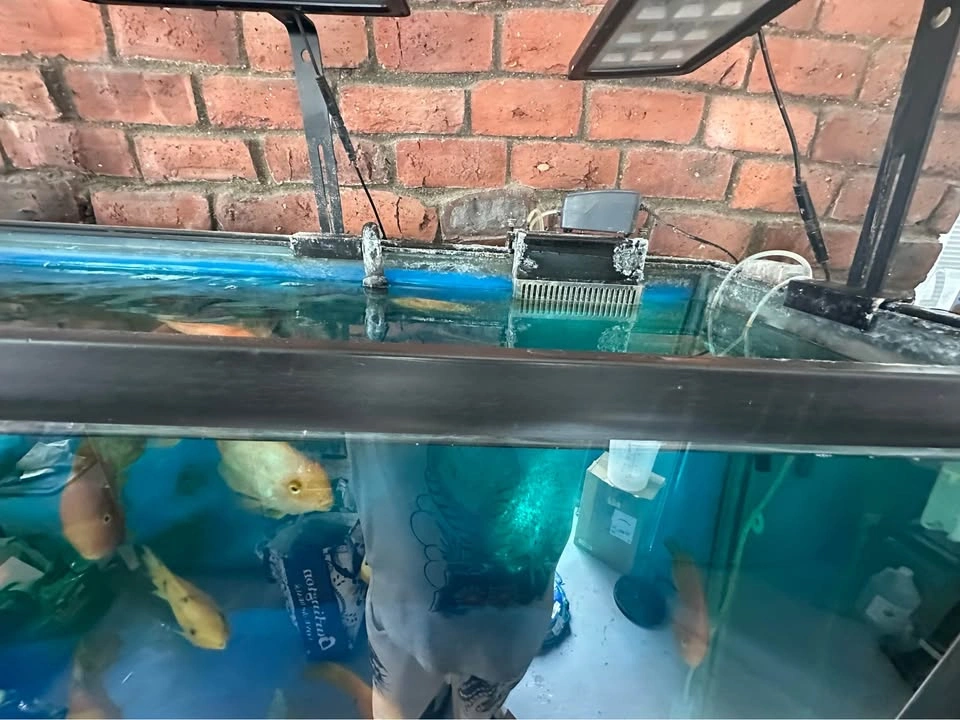 Fish tank 150 gal - photo 3