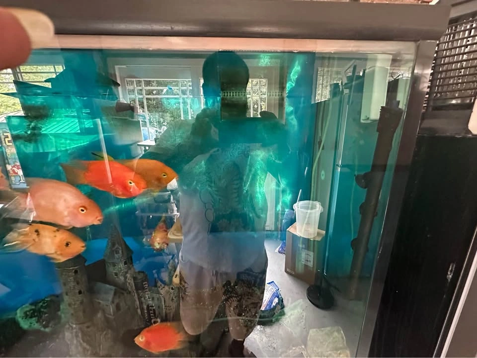 Fish tank 150 gal - photo 4