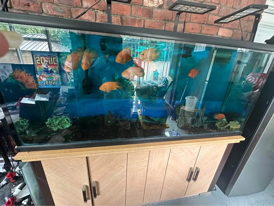 Fish tank 150 gal - photo 5