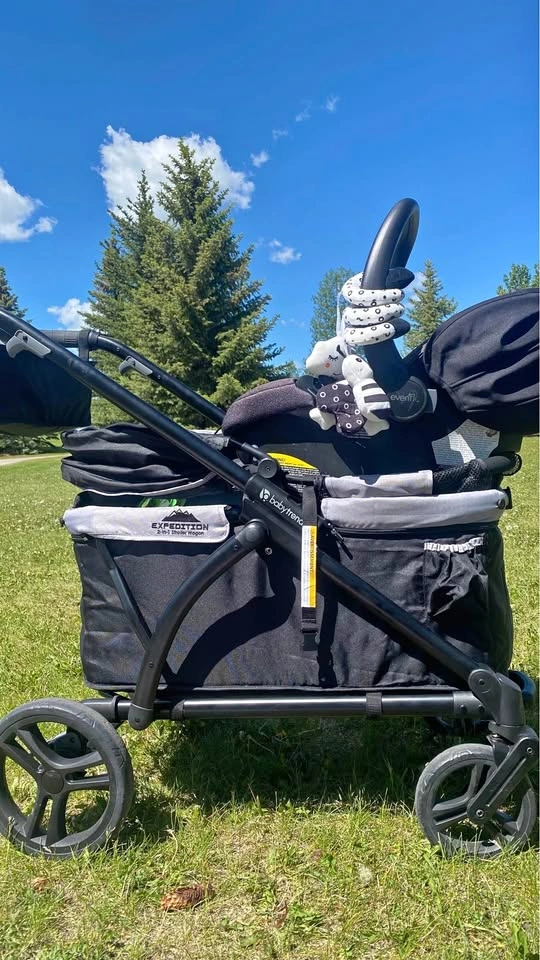 Baby Trend Expedition 2-in-1 Stroller Wagon