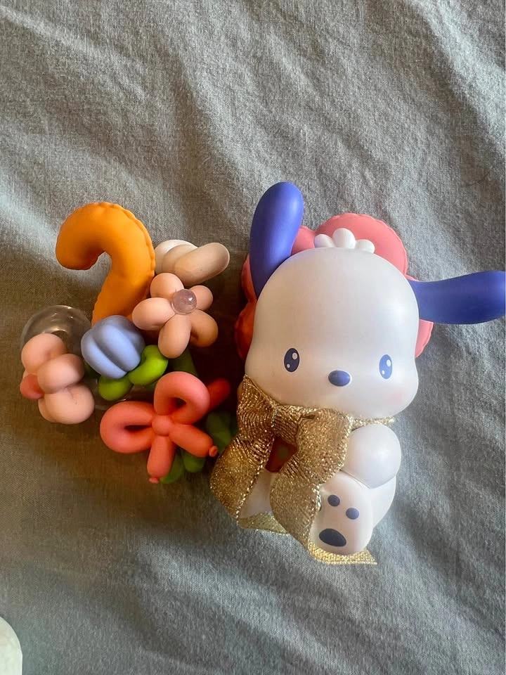 Sanrio Pochacco Figure