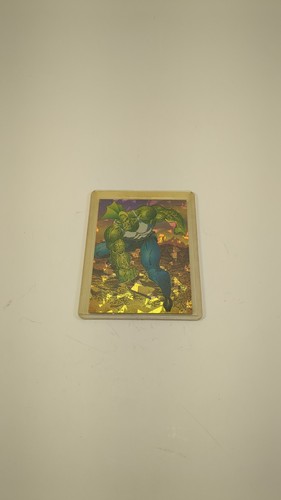 1992 Image Comics The Savage Dragon Prism Chase Cards