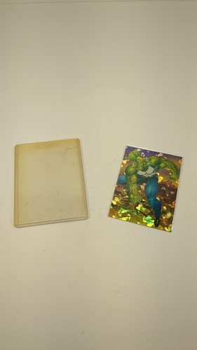 1992 Image Comics The Savage Dragon Prism Chase Cards - photo 3