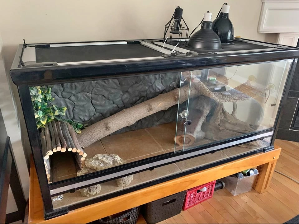 5 FT TERRARIUM - Complete bearded dragon set up