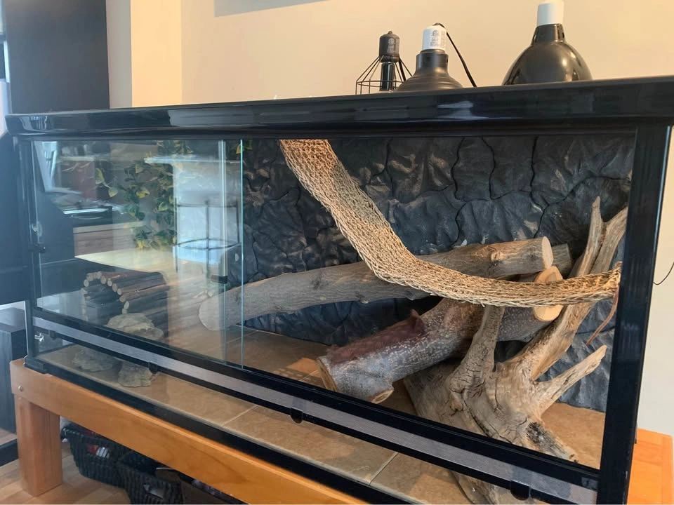 5 FT TERRARIUM - Complete bearded dragon set up - photo 2