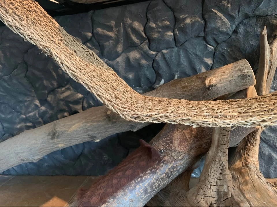 5 FT TERRARIUM - Complete bearded dragon set up - photo 4