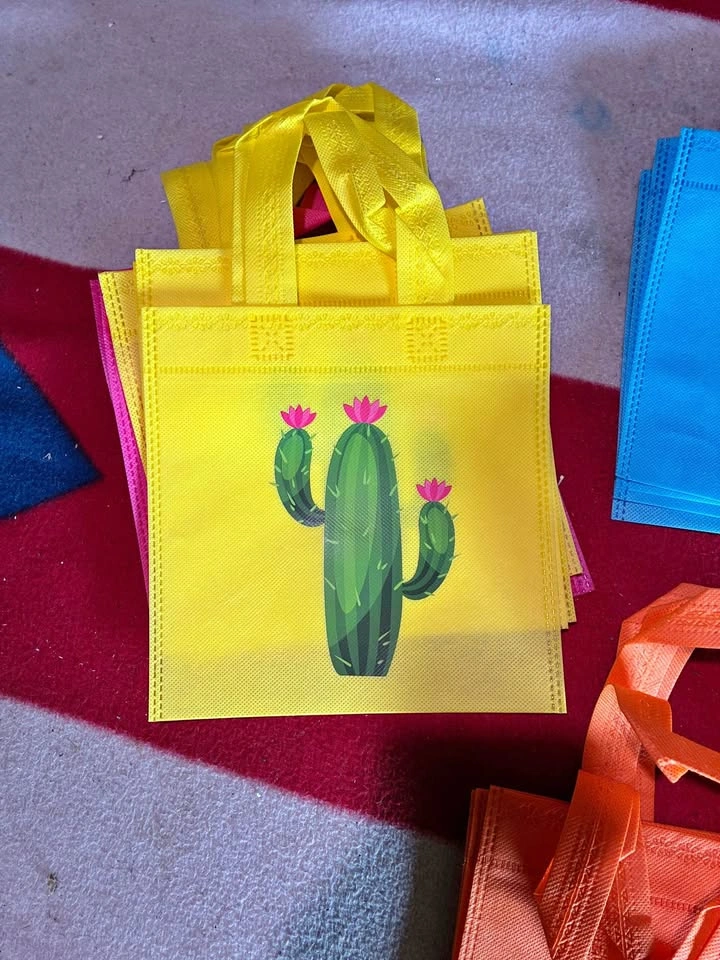 Fiesta non-woven party favor bags
