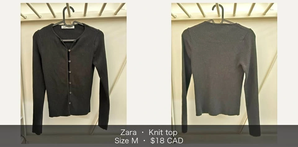 Zara knit top