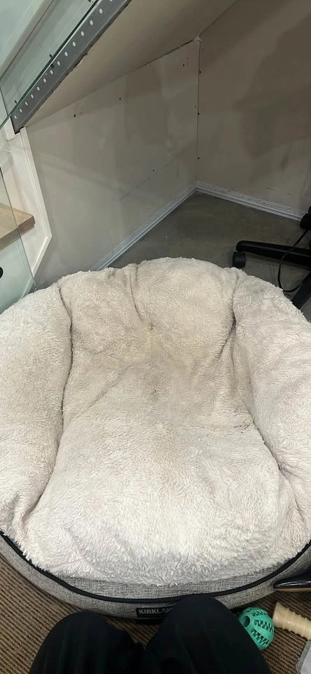 Kirkland Signature Round Pet Bed - photo 2