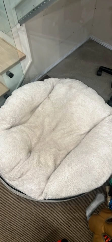 Kirkland Signature Round Pet Bed - photo 5