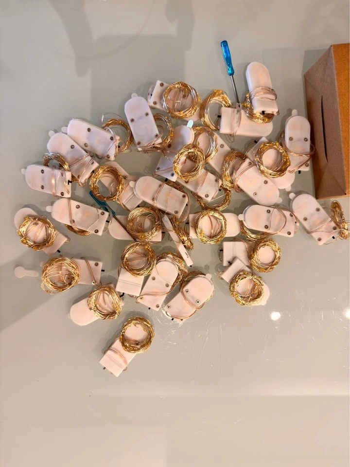 LED Fairy Lights 24 Pack Battery Operated