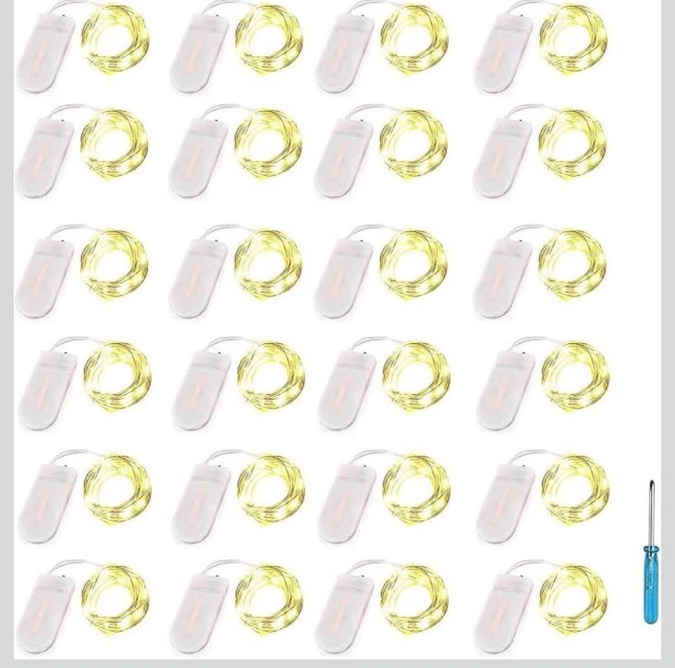 LED Fairy Lights 24 Pack Battery Operated - photo 4