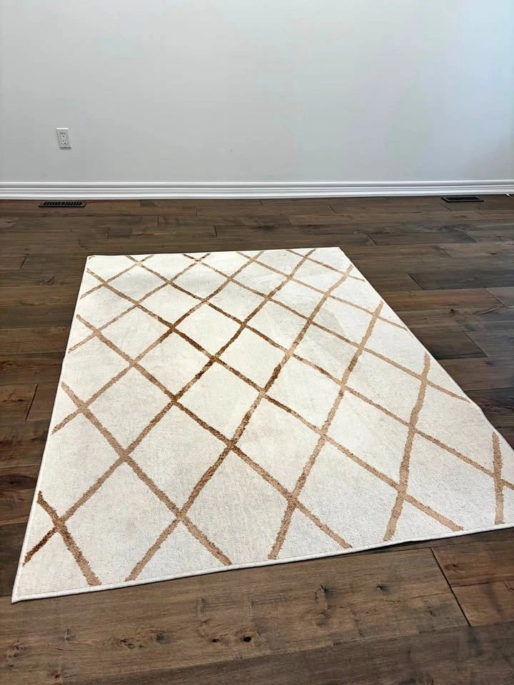 Area Rug - 52 inches by 73 inches