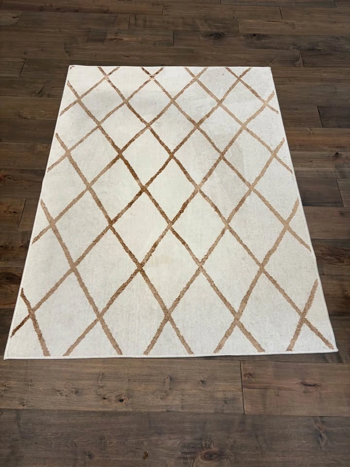 Area Rug - 52 inches by 73 inches - photo 2