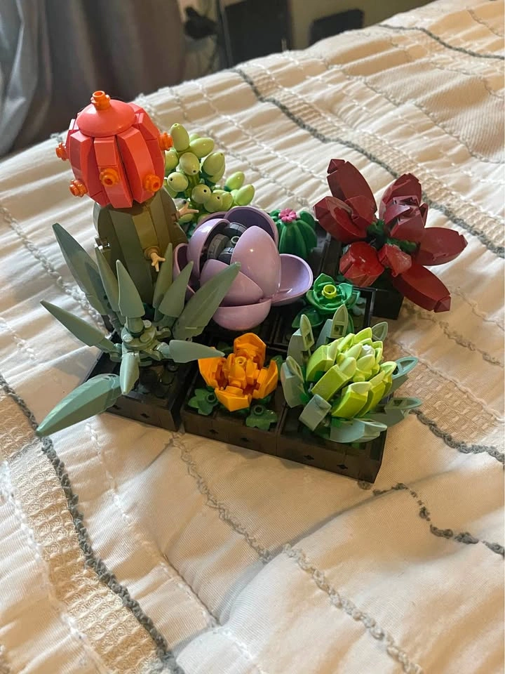 LEGO Botanicals Succulents