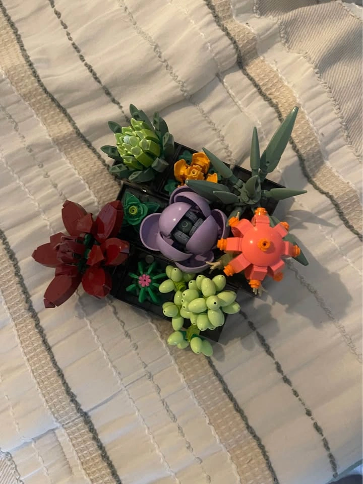 LEGO Botanicals Succulents - photo 2