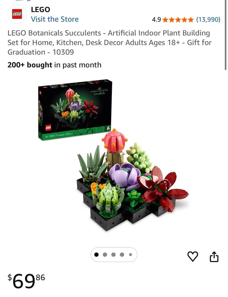 LEGO Botanicals Succulents - photo 3