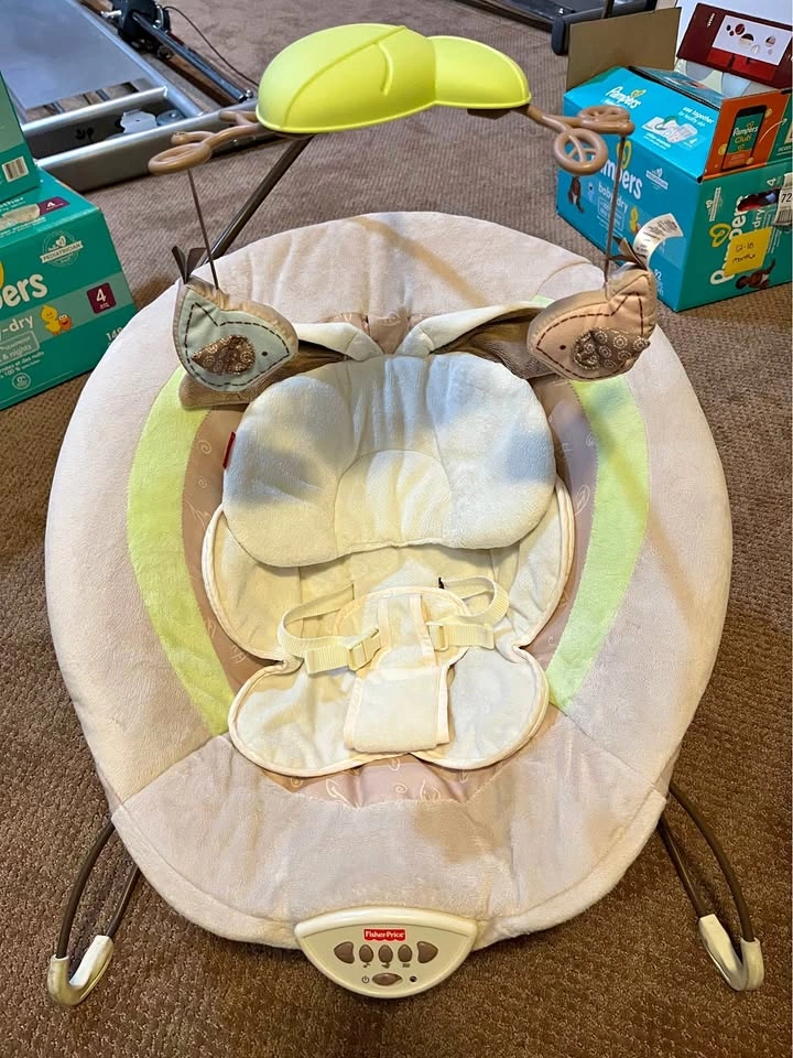 Fisher Price Bouncer Chair