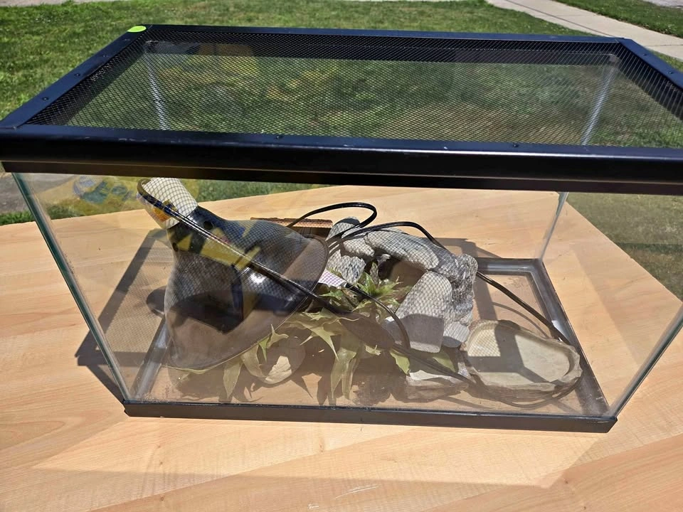 Terrarium and accessories