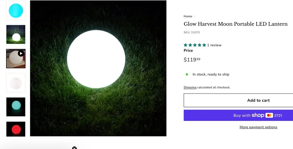 Outdoor Waterproof Globe Light - photo 2