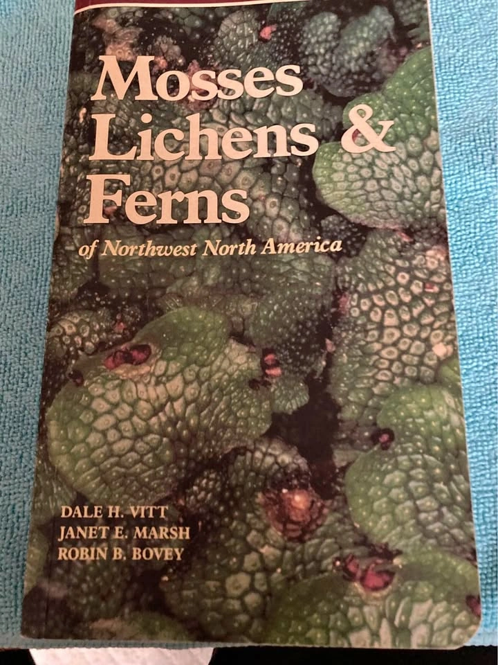 Mosses, Lichens, & Ferns Of Northwest North America Field Guide