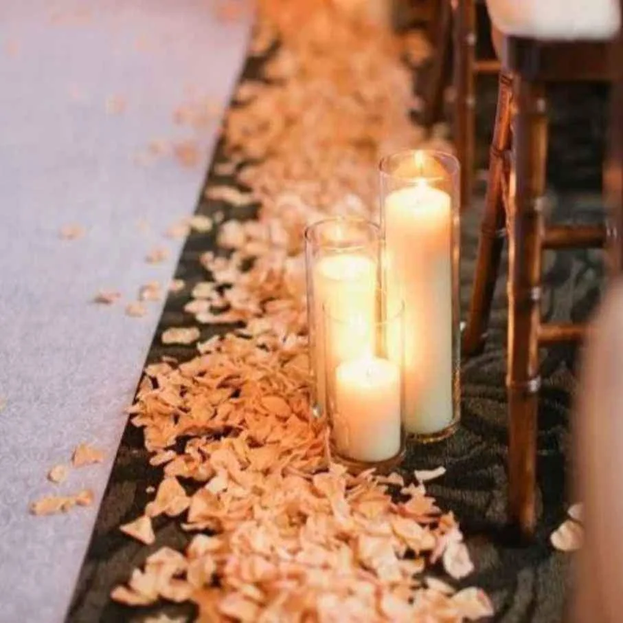 Wedding/ home/ party decorations for rent image indicator(4)