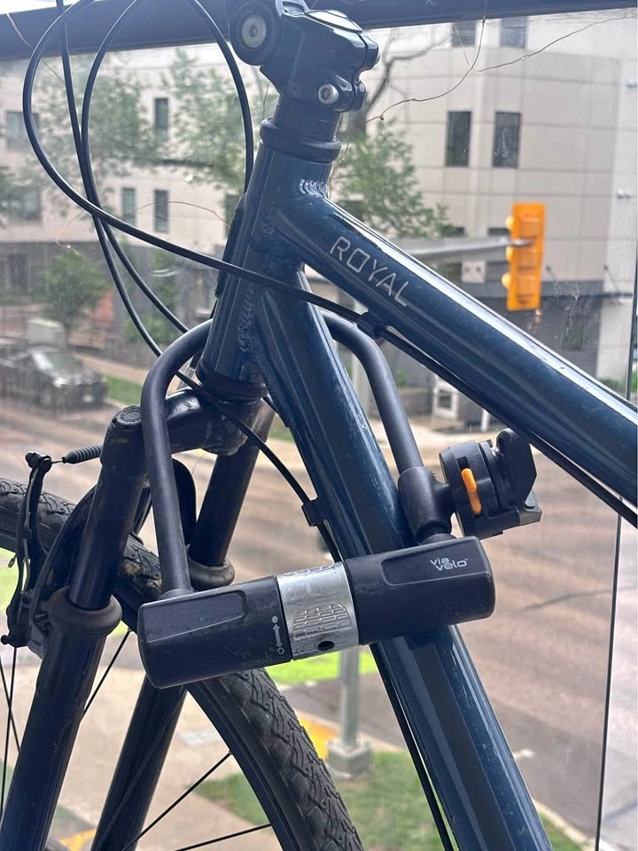 Nakamura Royal Hybrid Bike