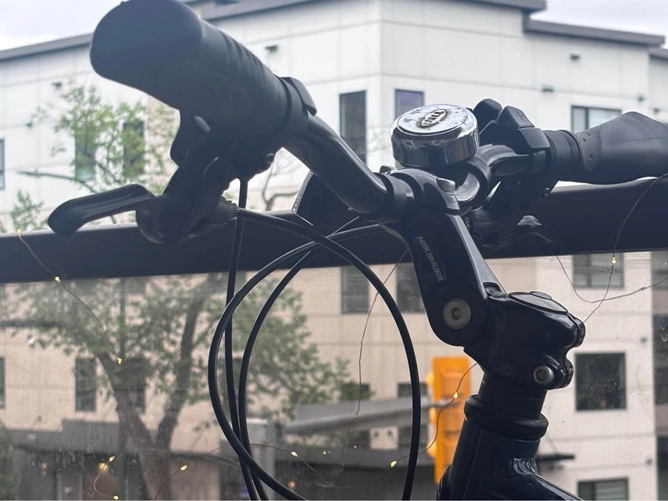 Nakamura Royal Hybrid Bike - photo 2