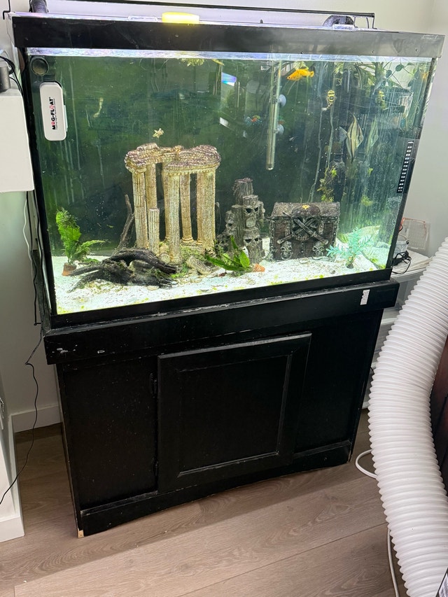 Aquarium