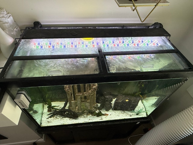 Aquarium - photo 2