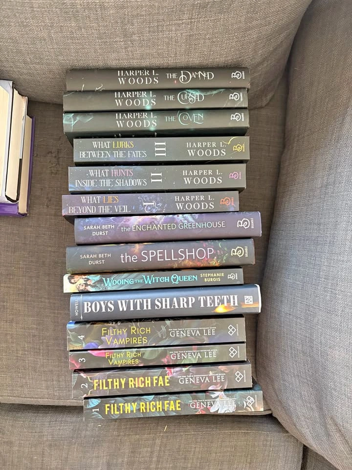 Romantasy Book Bundle (14 Books)