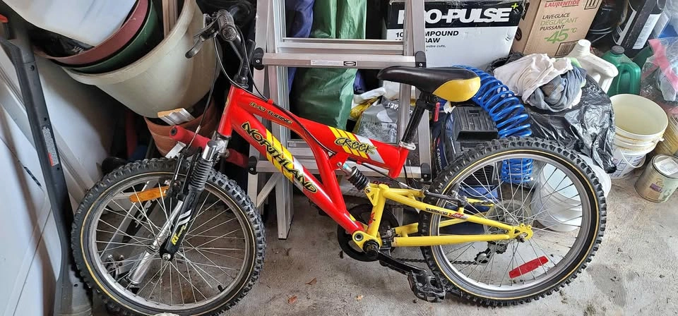 20" boys and 12" girls bike