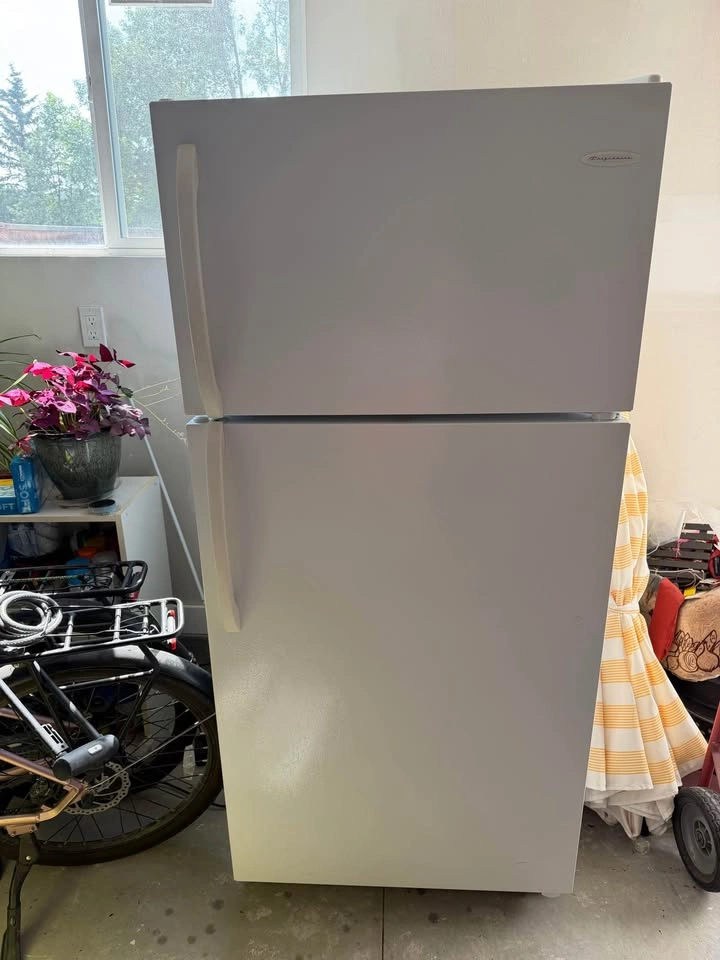 Fridge/freezer in Okotoks - photo 2