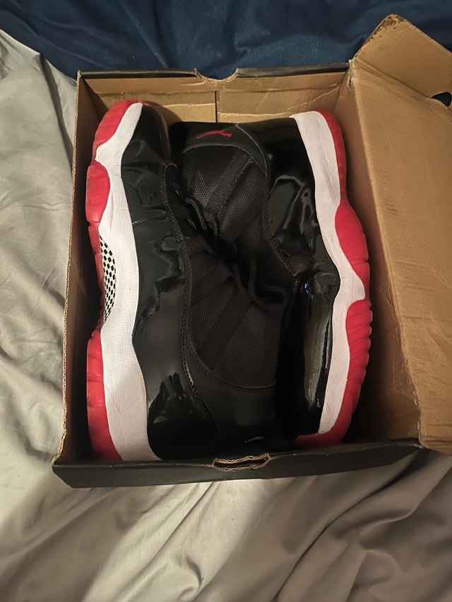Jordan 11 bred