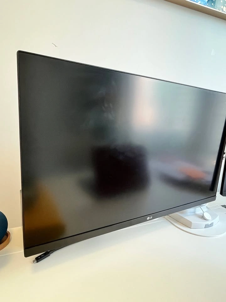 MOVING SALE — Downtown Toronto Apartment Items - photo 4