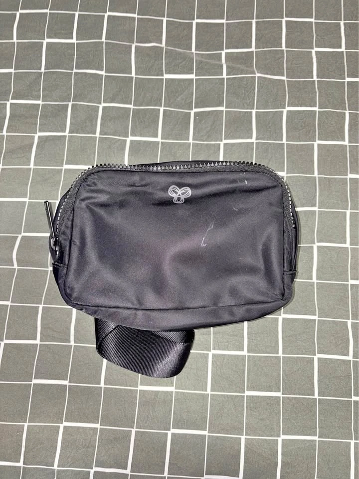 aritzia belt bag