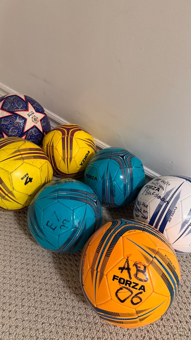 Soccer Ball Collection - photo 3