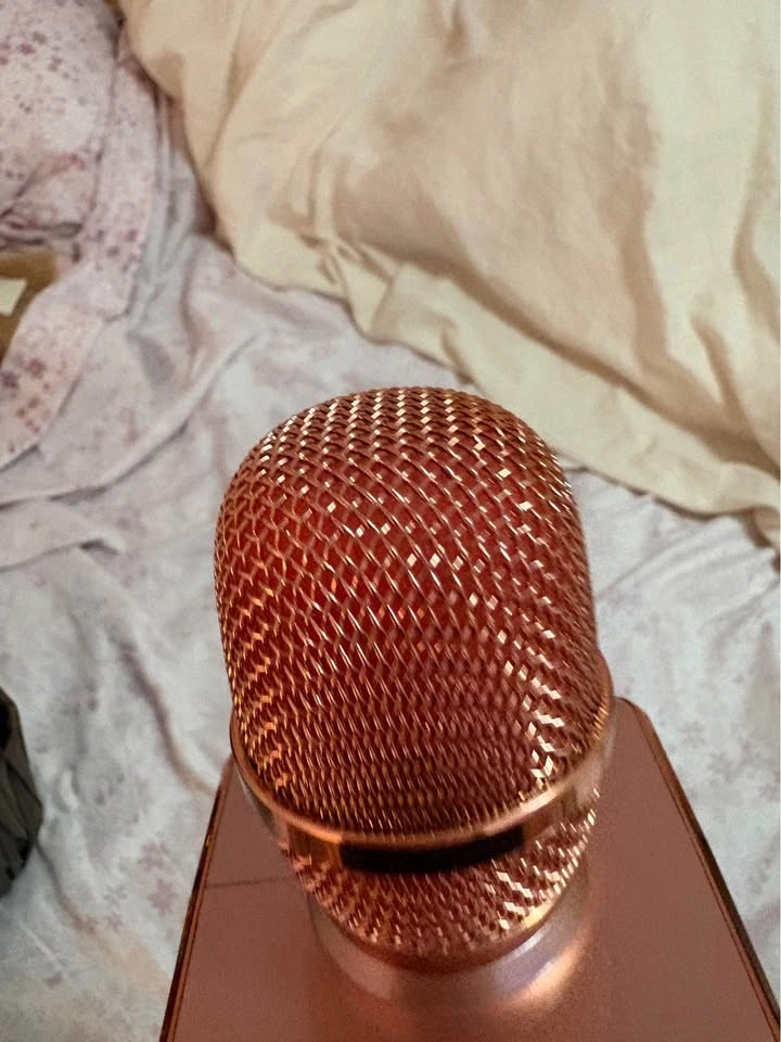 Wireless Karaoke Microphone - photo 2