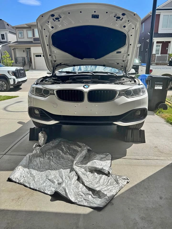 Engine oil and filter