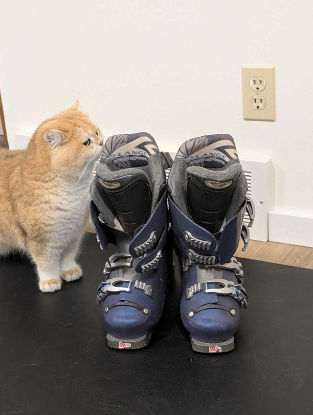 ski boots