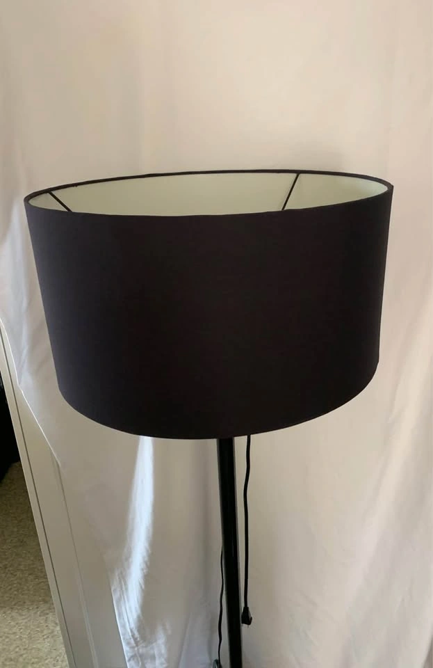 Elegant CB2 Black Atlas Floor Lamp - photo 3