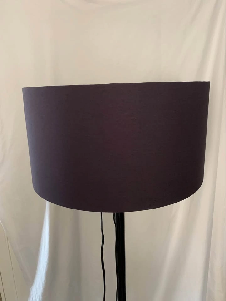 Elegant CB2 Black Atlas Floor Lamp - photo 4