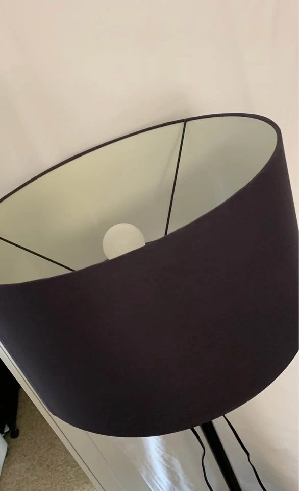 Elegant CB2 Black Atlas Floor Lamp - photo 5