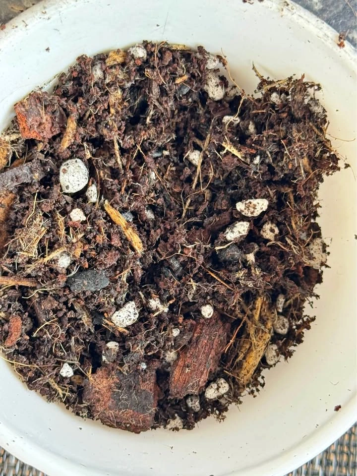 Soil Less Potting mix