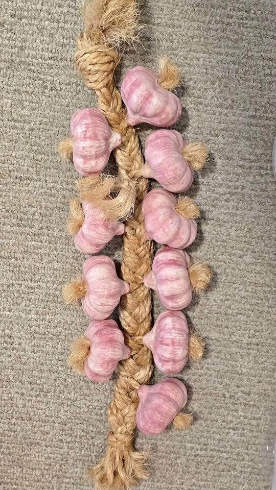 Decorative Artificial Garlic String
