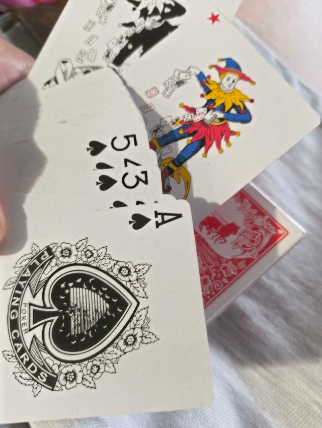 Cart Classics Playing Cards No. 988 - photo 3