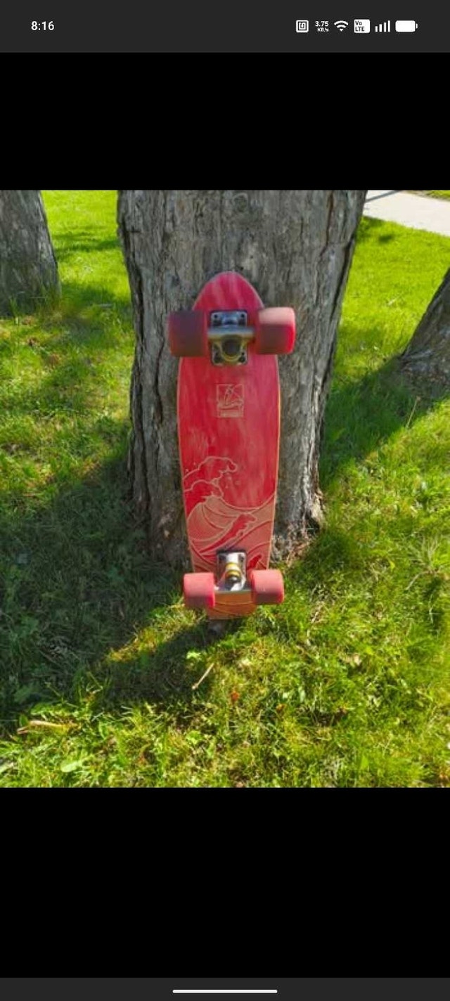 Landyachtz Skateboard - photo 4