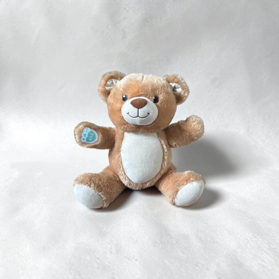 Build-A-Bear Teddy Bear